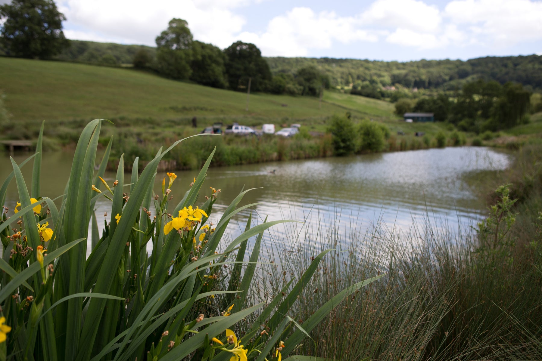 Harescombe Fisheries | Lobbys Tackle