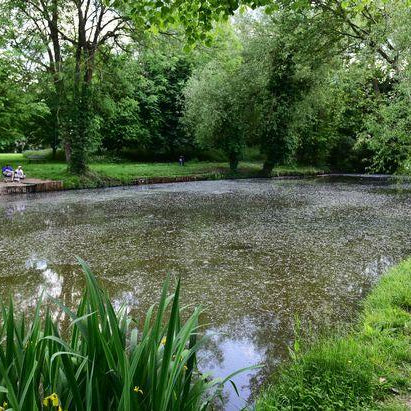 Selwyn Pond | Matson Anglers | Lobbys Tackle