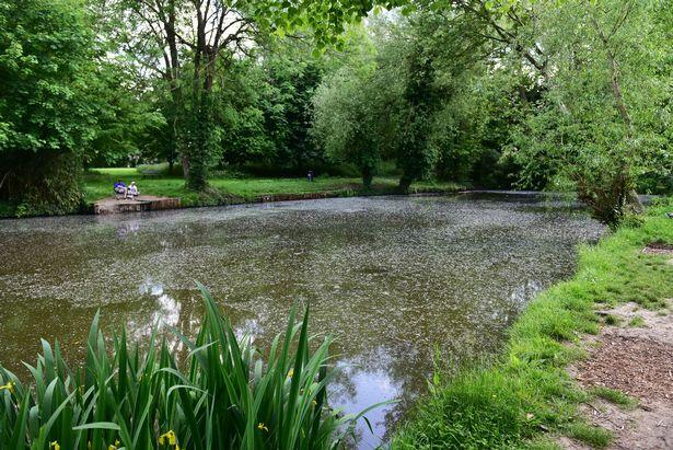 Selwyn Pond | Matson Anglers | Lobbys Tackle