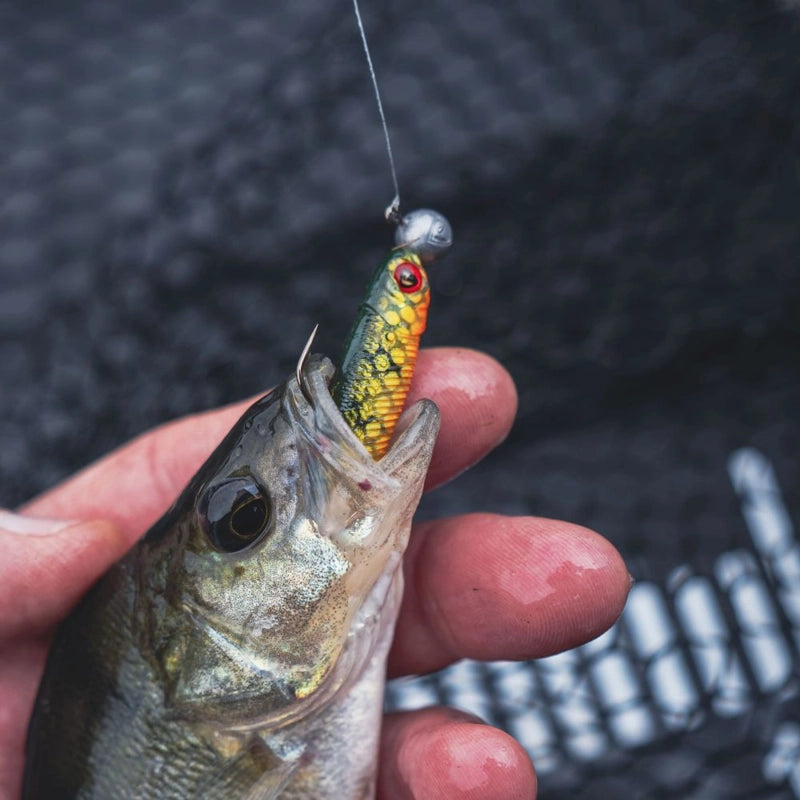 Fox Rage Mini Tiddler Mixed Colour Pack Loaded