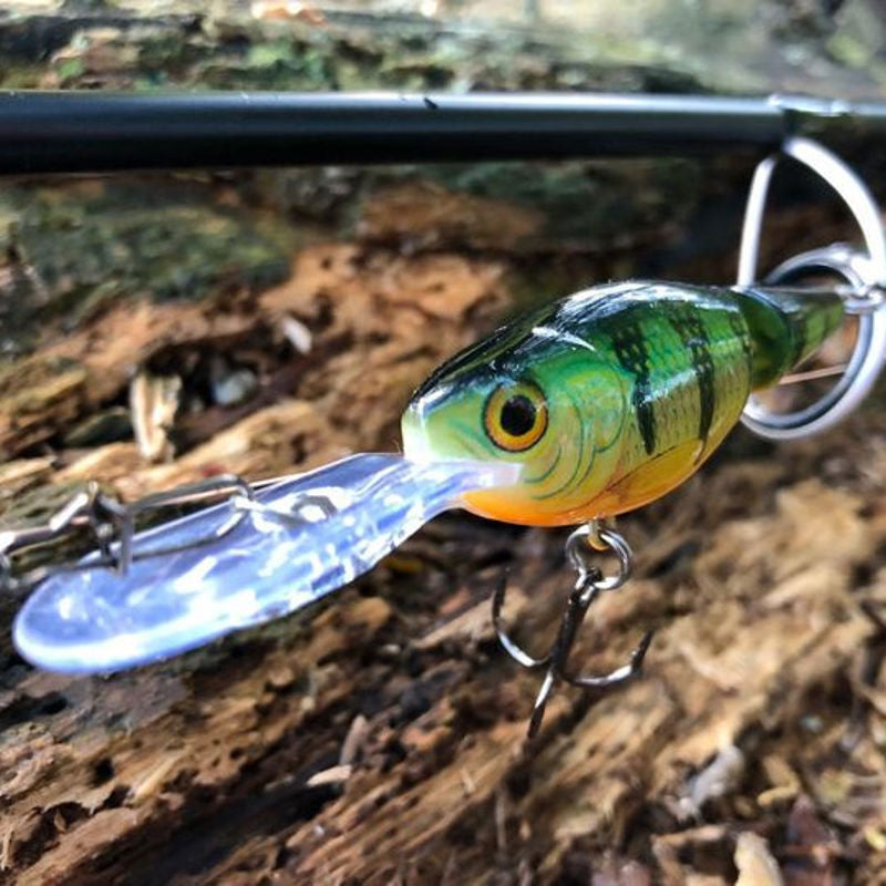 Rapala Jointed Shad Rap Lure