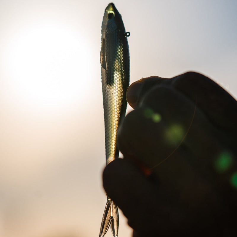 Westin Twitchteez R2F Soft Lure