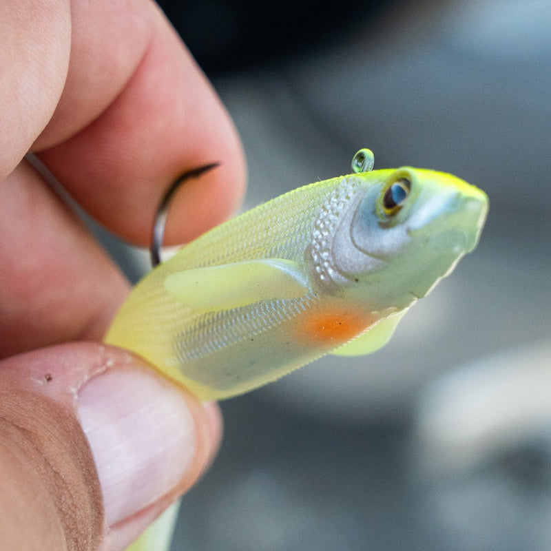 Westin Twitchteez R2F Soft Lure