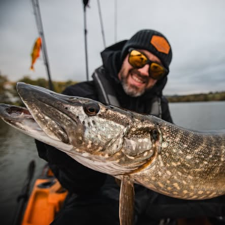 Westin Swim Glidebait Limited Edition Signature Colours