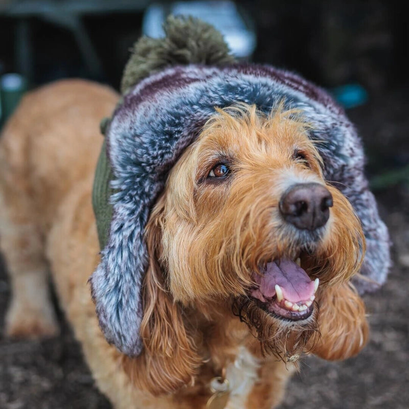 Fox Trapper Hat Green