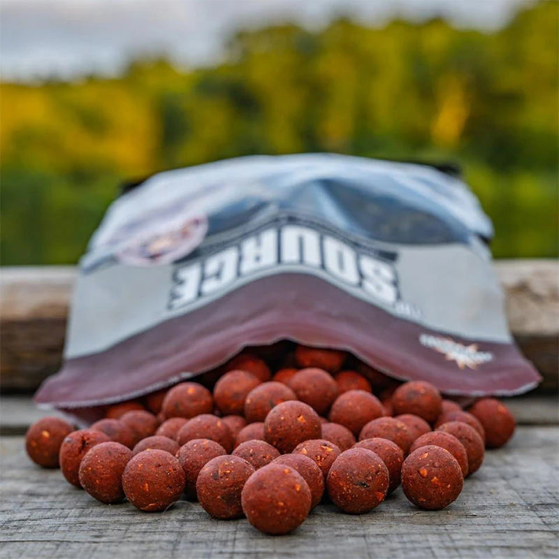 Dynamite Baits The Source Boilies