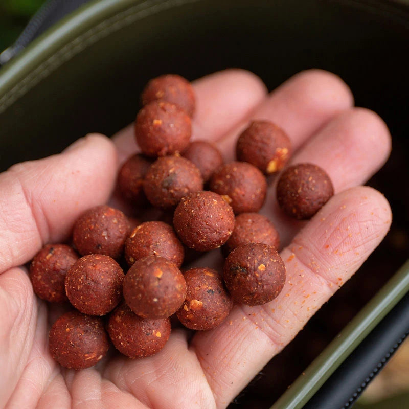 Dynamite Baits The Source Boilies
