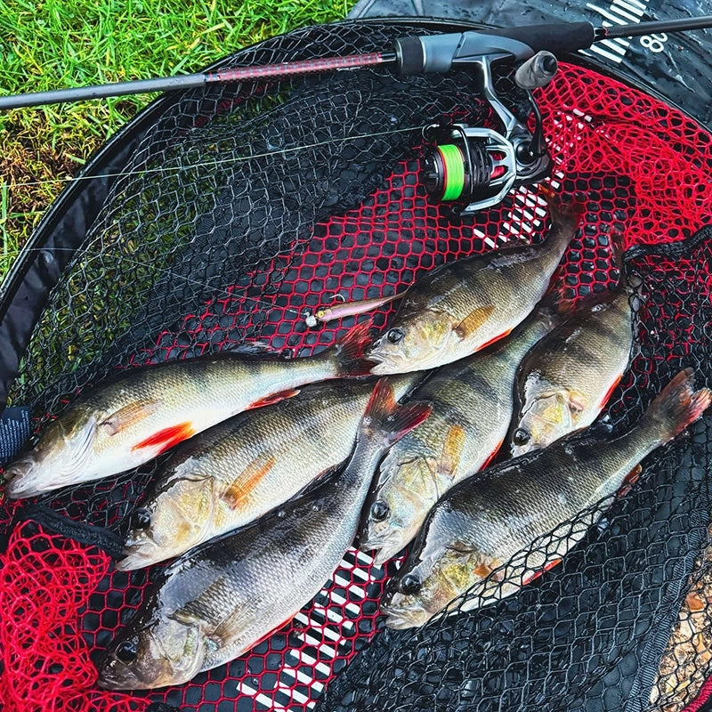 Fox Rage Mini Tiddler Mixed Colour Pack Loaded