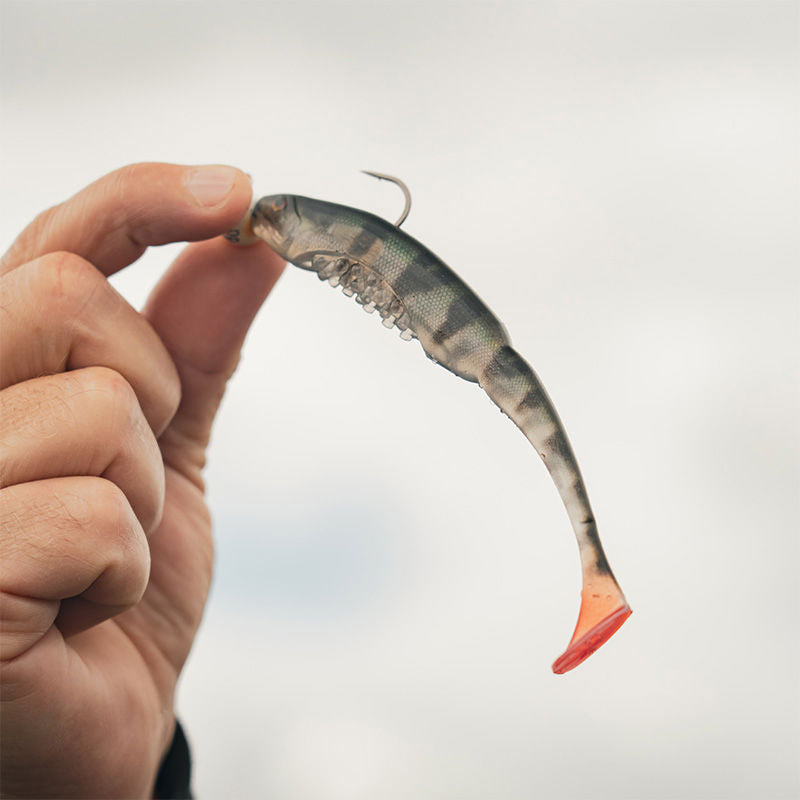 Fox Rage Scent Shads