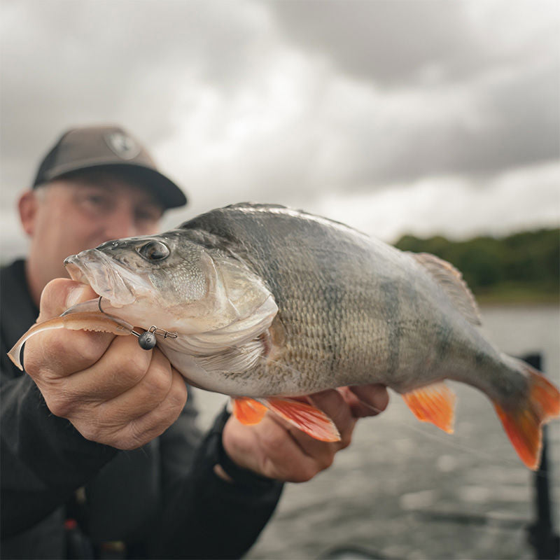 Fox Rage Scent Shads