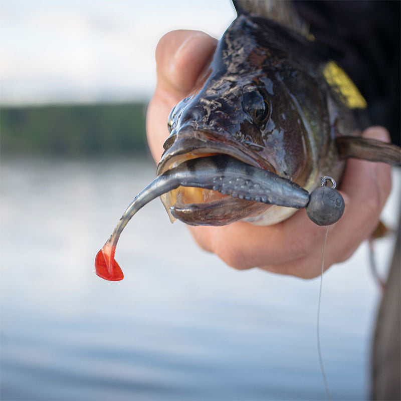 Fox Rage Scent Shads