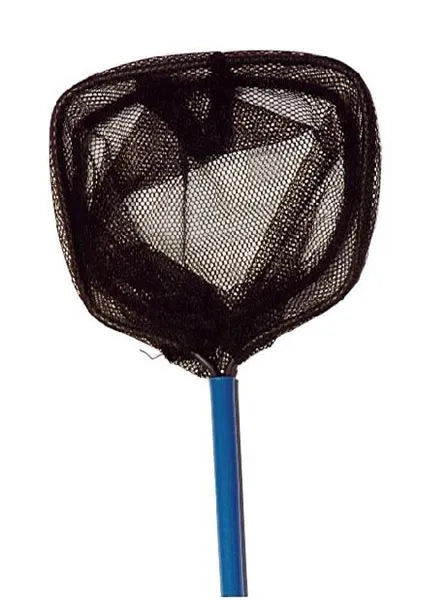 Dennett Seaside Kids Net