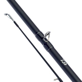 Daiwa D-Baitcast Rod & Reel Combo