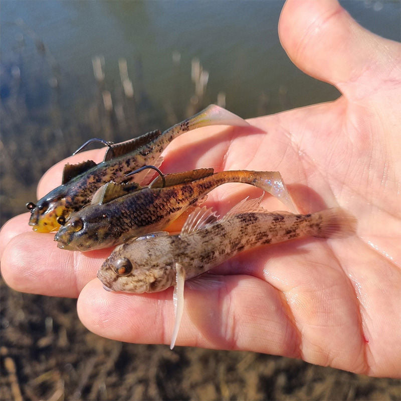 Westin Gunnar The Goby RTF