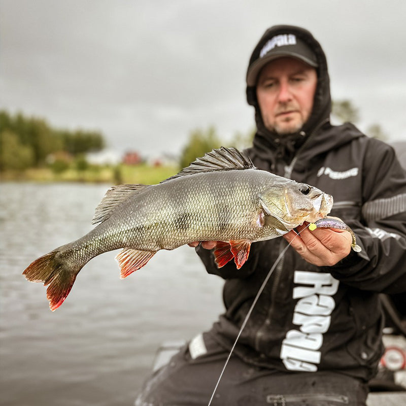 Rapala Crushcity The Kickman Lures