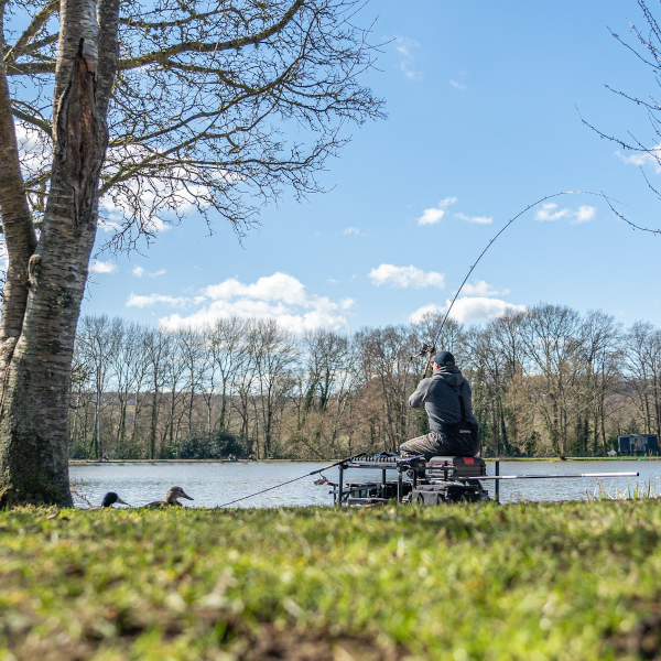 Daiwa N'ZON Feeder Rods