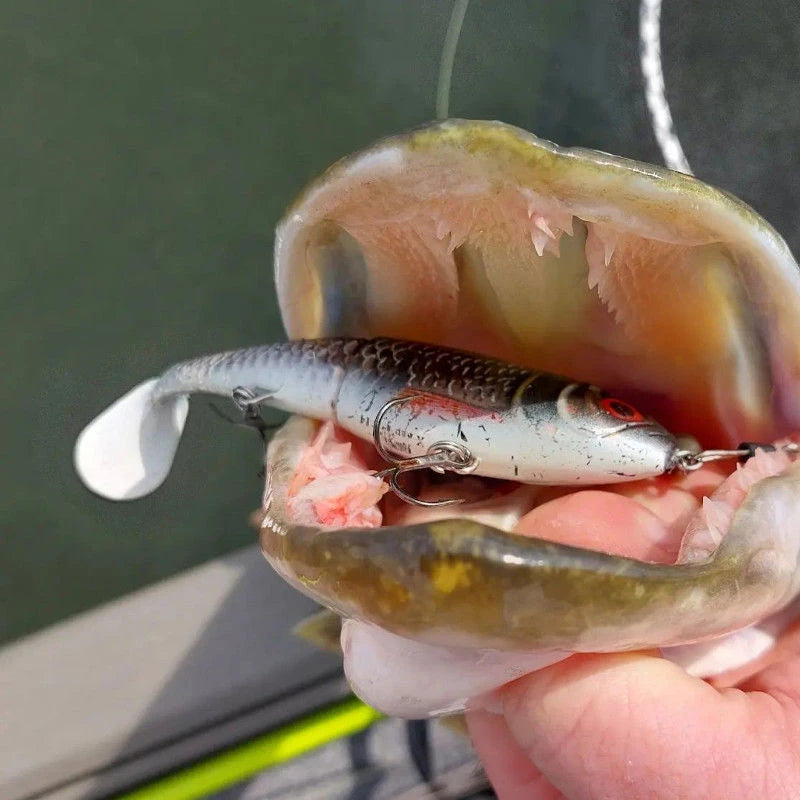 Rapala X-Rap Peto Lures