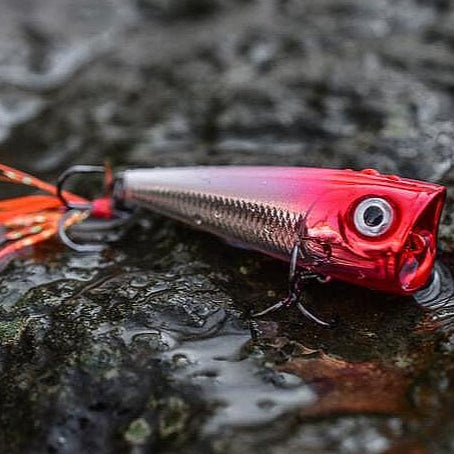 Rapala X-Light Pop