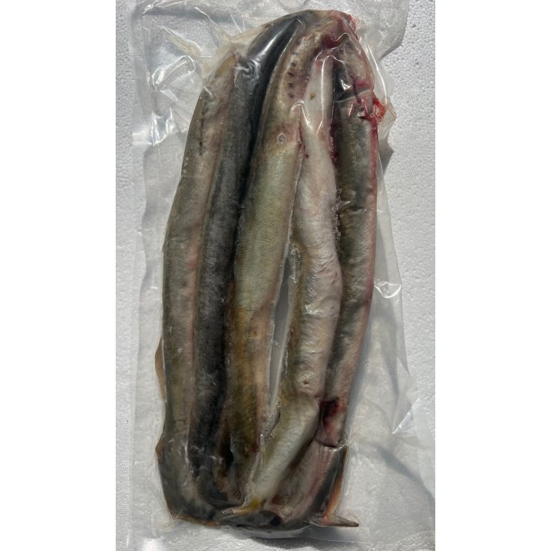 Devon Baits Frozen Lamprey