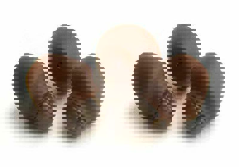 Matrix Rubber Quick Beads 6mm