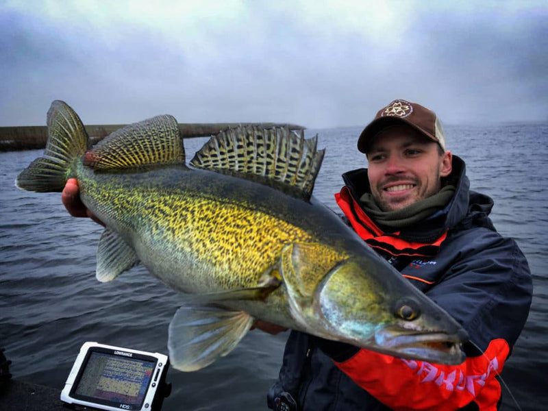 Sakura Chebu Jig Heads