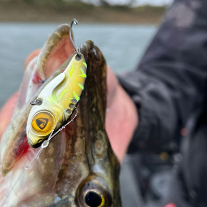 FOX RAGE BLADED JIG! Awesome lures that catch BIG Pike Perch and Zander 