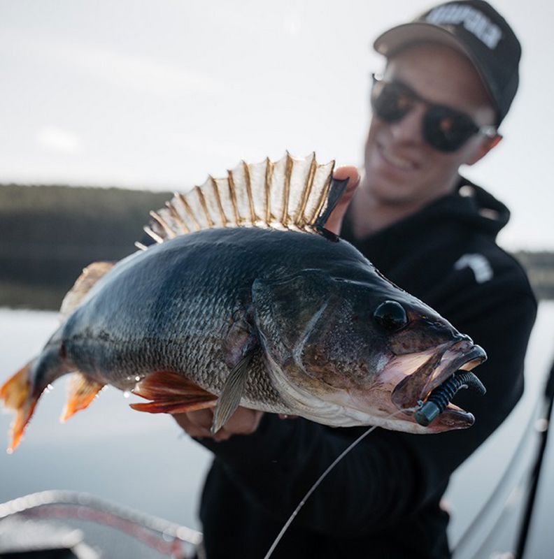 Rapala CrushCity Ned's BLT Lures