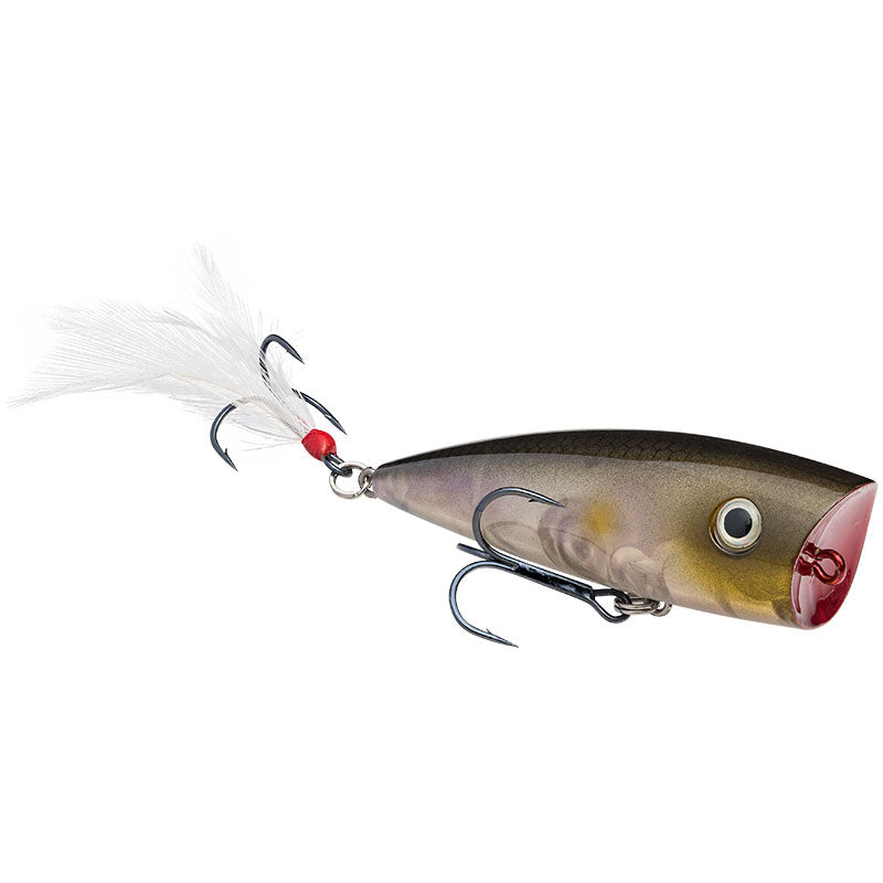 Strike King KVD Splash Topwater Popper Lures