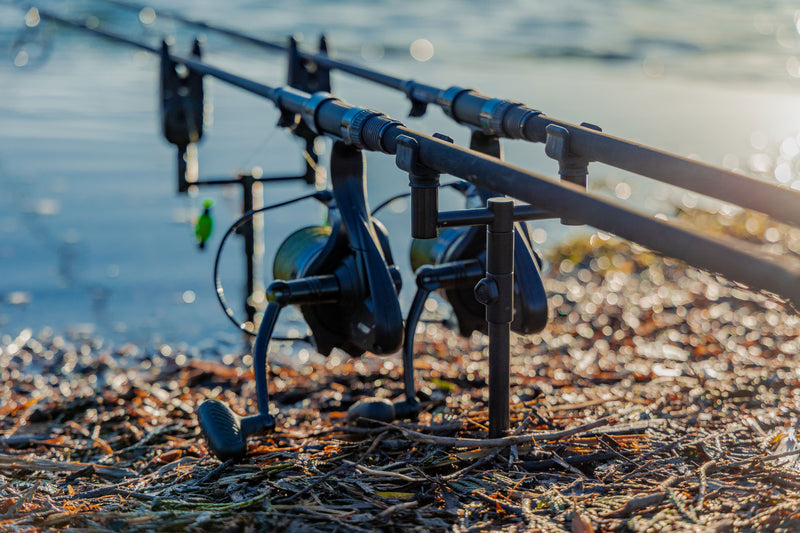 Fox Black Label Slim Buzz Bars