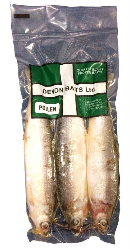 Devon Baits Frozen Pollen - Lobbys Tackle