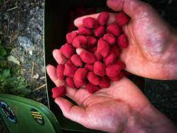 Crafty Catcher Big Hit Oily Catfish Nuggets 900g