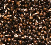 Dynamite Baits Frenzied Hempseed Tin 350g - Lobbys Tackle