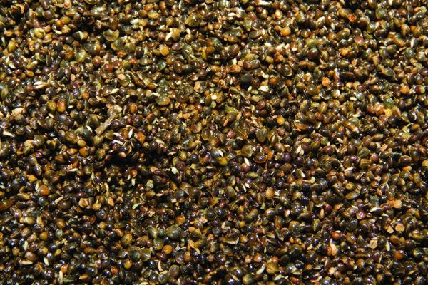 Dynamite Baits Frenzied Hempseed Tin 700g - Lobbys Tackle