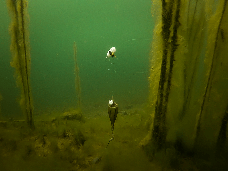 Fox Edges Zig Float Kit - Lobbys Tackle