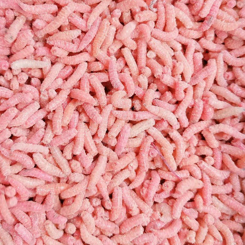 Fresh Pinkies - Lobbys Tackle