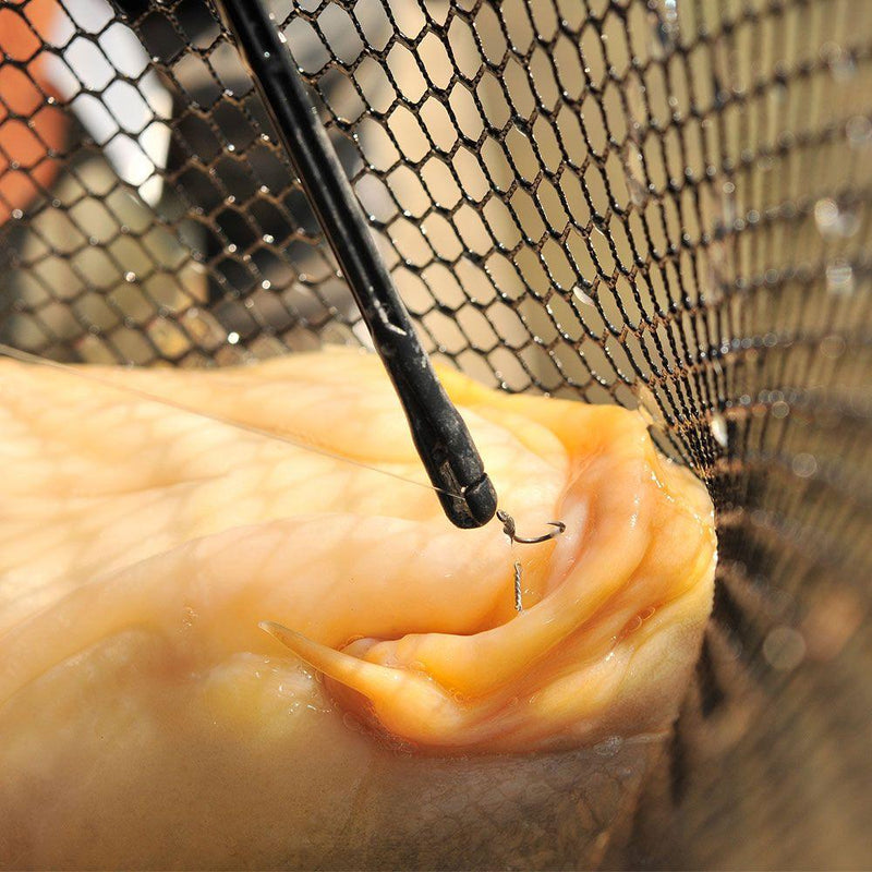 Guru QM1 Disgorger - Lobbys Tackle