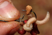 Korda Maggot Klip - Lobbys Tackle