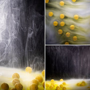 Mainline Smart Liquid 250ml - Lobbys Tackle