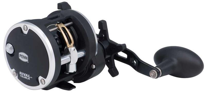 PENN Rival Level Wind Reel - Lobbys Tackle