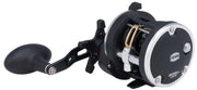 PENN Rival Level Wind Reel - Lobbys Tackle